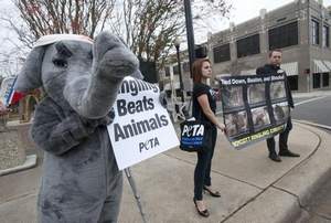 PETA protests against the circus